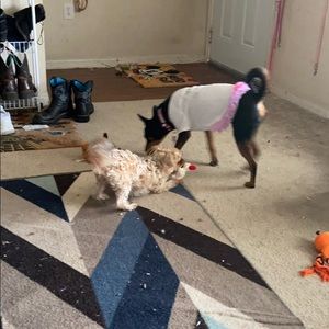 Meet your Posher, Sandra